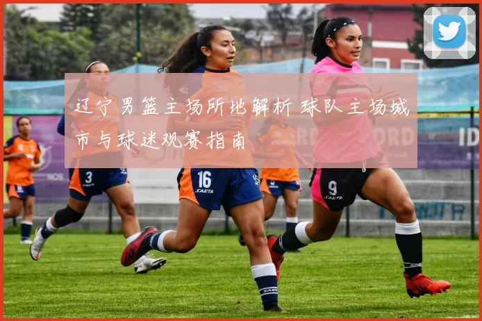 辽宁男篮主场所地解析 球队主场城市与球迷观赛指南