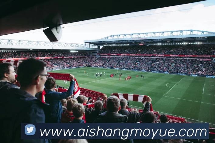 压球首页平台生态图