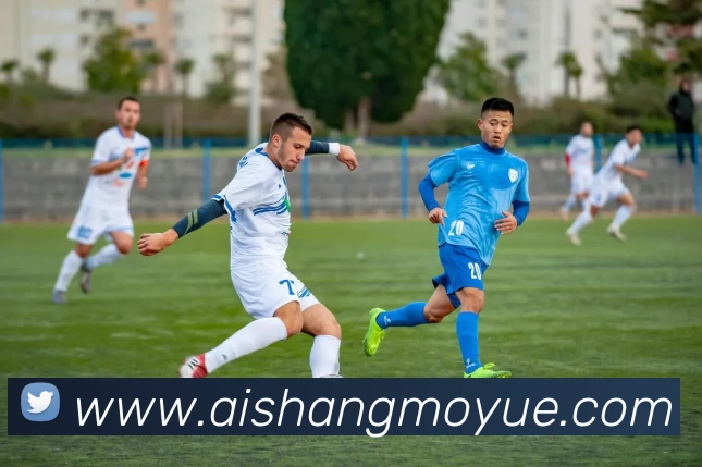 压球首页全站App